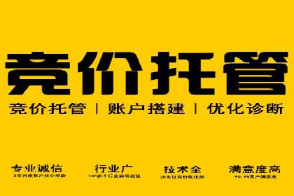 百度推广代运营公司：打造高效的网络营销团队